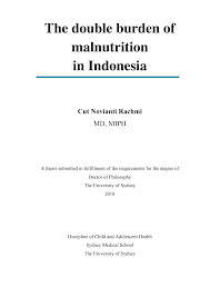 Https Ses Library Usyd Edu Au Bitstream 2123 18254 1 Cut 20novianti 20rachmi 20307248224 20final 20thesis Pdf