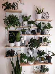 32 Inspiring Wall Plant Decorations For Your Living Room Molitsy Blog Diy Plants Decor Living Room Wall Designs Plant Decor