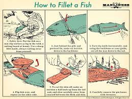 How To Fillet A Fish An Illustrated Guide Habilidades De Supervivencia Consejos De Supervivencia Trucos De Supervivencia
