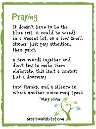 It Doesn T Have To Be The Blue Iris It Could Be Weeds In A Vacant Lot Or A Few Small Stones Just Pay Attention Th Mary Oliver Poems Mary Oliver Poem