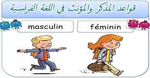 قواعد المذكر والمؤنث في اللغة الفرنسية Masculin Et Feminine