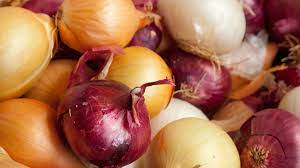 Cats should never eat garlic. Pets And Onions Pet Health Insurance Tips
