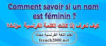 كيف تميز بين المذكر والمؤنث في اللغة الفرنسية تعلم اللغة الفرنسية مجانا
