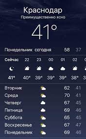 V Krasnodare Poteplelo Pikabu