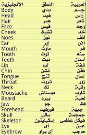 تعلم اللغة الانجليزية والفرنسية بالعربي للمبتدئين Home Facebook