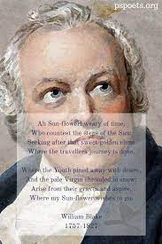 Sunflower Poem William Blake Philosopher S Stone Poetry Nature Poems Romanticism 18th Century Nature Poem Sunflower Poem Romanticism