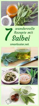 Salbei Ernten Statt Ihn Vertrocknen Zu Lassen 7 Gesunde Rezepte Salbei Ernten Gesunde Rezepte Gesunde Mittagsgerichte