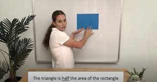 Calculating The Area Of Triangles Diagonal Line Rectangle Areas
