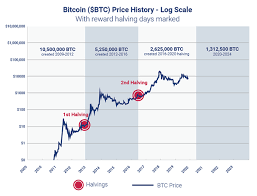 Bitcoin halvings occur roughly every four years with the benefit of reducing inflation and adding new value. Bitcoin Halving 2020 All You Need To Know Plus500