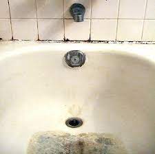 black mold in bathroom: cause, dangers