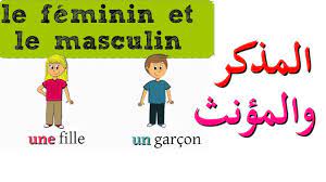تعليم اللغة الفرنسية للمبتدئين الإسم المذكر و المؤنث في الفرنسية و كيفية التمييز بينهما Youtube