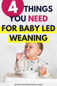 4 Baby Led Weaning Must Haves For Parents 2020 Guide In 2020 Baby Led Weaning First Foods Baby Led Weaning Baby Led Weaning Recipes