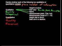 What Are Qualitative And Quantitative Variables Business Statistics Tips Variables Statistics Business