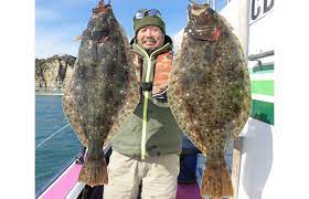 千葉県 御宿沖の 寒ビラメ イワシ到来で最盛期 オフショアマガジン 釣りビジョン