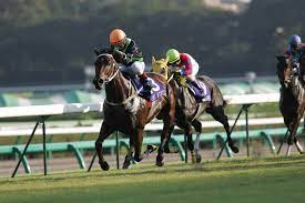 When You Get Into The Hong Kong Racecourse One Of The First Thing That You Should Do Is To Buy A Race Card This Is Where You Will Fi Racing Race