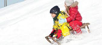 Winterspaß für kinder bei mytoys. Schlitten Holzschlitten Bob Schlitten Mit Lenkrad Po Rutscher Lenkschlitten Kaufen Mytoys