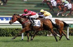 There May Be No More Appropriately Named Horse In Hong Kong Having Won Six Of His First Nine Trips To The Post Mr Stunning Made T Horse Racing Horses Racing