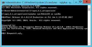 Apex For Arab الطباعة في Oracle Apex الجزء الأول