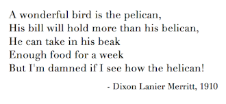 Pelican Poem Limerick Poem Poems Limerick