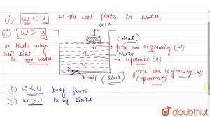 why objects float or sink when placed