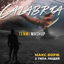 Maks Korzh 2 Tipa Lyudej Bardrop X Steve Cavalo Remix Vs Calabria Tenmi Mashup Skachat Pesnyu Besplatno V Horoshem Kachestve