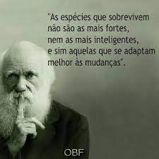 Pin De Ronaldo Picorelli Em Diy E Trabalhos Manuais Frases Mudanca Frases Sabias Frases Construtivas