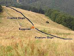 Illustration Of Keypoint On A Hill Article Is About Earthworks For Small Permaculture Farm Permaculture Permaculture Design Landscaping On A Hill