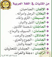 من المثنيات في اللغه العربيه Phrase Words Word Search Puzzle