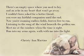 Loss Of Dog Gift Loss Of Cat Memorial Poem Pet Sympathy Etsy Death Of A Pet Pet Poems Sympathy Poems