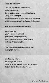 The Still Explosions On The Rocks The Lichens Grow By Spreading Gray Concentric Shocks Elizabeth Bishop Moon Poems Poems About Stars