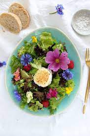 Rezept Essbare Bluten Zum Sommer Festhalten Emma Bee Rezept Rezepte Essbare Bluten Rezepte Mit Obst