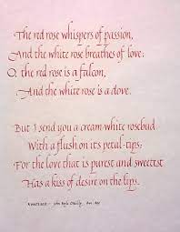 A White Rose Roses Are Red Poems Rose Poems Rose Quotes