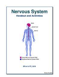 Sensory input, integration of data and motor output. Nervous System Entire Unit No Prep Notes Worksheets Activities By Fun In Pe