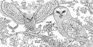 Animals coloring pages are pictures of many different species of animals to color. Hard Coloring Pages Of Animals From The Thousands Of Photos On Line Concerning Hard Colori Horse Coloring Pages Zoo Animal Coloring Pages Bird Coloring Pages