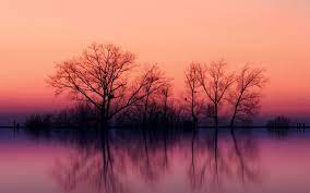 Resizing the graphic by cropping top and bottom to change its actual size to 640 x 400 will allow the graphic to be. Natur Download Hd Desktop Hintergrunde Beautiful Nature Pictures Beautiful Nature Sunset Wallpaper