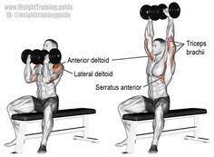 Set Roelly Winklaar Gym Bodybuilding Pinterest Bodybuilding Fitness Y Muscle