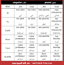 ما هي Les Adjectifs Possessifs صفات الملكية في اللغة الفرنسية كيف ومتى تستخدم بشكل صحيح أمثلة في جمل مع شرح مساعد بالعربية