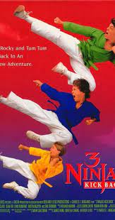 The plot revolves around environment awareness about trash and toxic waste and what the guy that made 3 ninjas knuckle up is best known for being kidnapped by kim jong il because he needed to make some movies. 3 Ninjas Kick Back 1994 Imdb