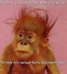 Https Xn 80adh8aedqi8b8f Xn P1ai D0 Bf D1 80 D0 Be D0 B8 D0 B7 D0 B2 D0 B5 D0 B4 D0 B5 D0 Bd D0 B8 D0 B5 D0 B1 D0 B5 D0 Bb D1 8b D0 B9 D0 Be D1 80 D1 91 D0 Bb D0 Bf D0 Be D1 82 D0 Be D0 Bc D1 83 D1 87 D1 82 D0 Be D0 Bd D0 B5 D0 Bb D1 8c D0 B7 D1 8f D0 B1 D1 8b D1 82 D1 8c D0 Ba D1 80 D0 B0 D1 81 D0 B8 D0 B2 D0 Be D0 B9 D1 82 D0 B0 D0 Ba D0 Be D0 B9