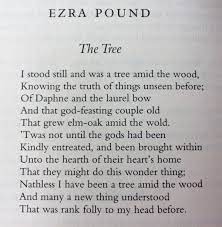 Erza Pound The Tree Words Poems Poetry Quotes