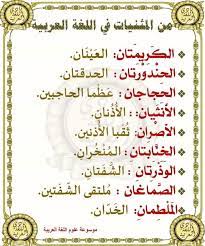 من المثنيات في اللغة العربية ابتدائية الشهيد عرعور موسى Facebook