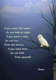 65 Positive Thinking Quotes And Life Thoughts 2 Rumi Quotes Spiritual Love Quotes Rumi