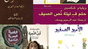 الترجمة الأدبية للعامية المصرية ﻷجل محمد علي عبد المولى وملايين غيره ترجمان