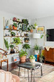 A Colorful Chicago Home Is An Eclectic Jungle Thanks To 90 Houseplants Living Room Plants Apartment Living Room Small Apartment Living