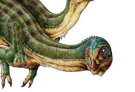 7 Year Old Boy Discovers Platypus Of Dinosaurs Animals Dinosaur Platypus