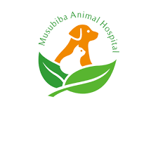 むすび葉動物病院 安八町や大垣市や瑞穂市の動物病院