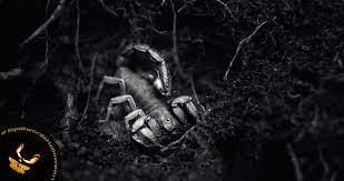 On October 31st Poetry By Paula Puolakka At Spillwords Com Poetry Beat Poet October 31st