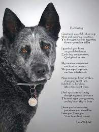 Everlasting Dog Quotes Dog Poems Dog Love