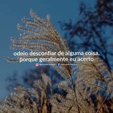 Meu Sexto Sentido Nunca Falha Pensador Sincero Facebook