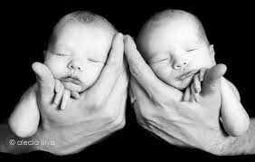 Cute Twin Babies Baby Photoshoot Boy Twin Baby Photography Newborn Twin Photography